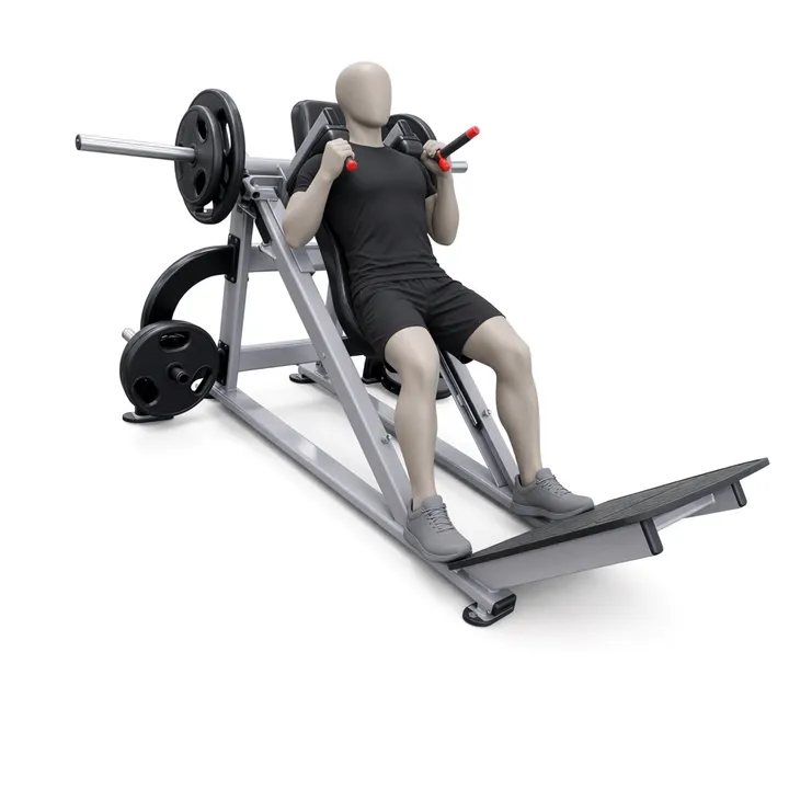 Hack squat