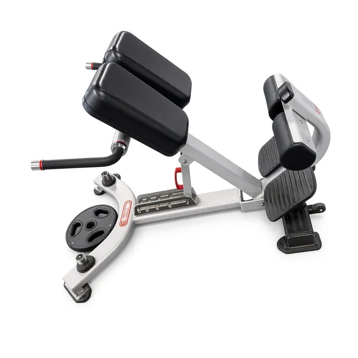 Banc à hyperextensions (45°)