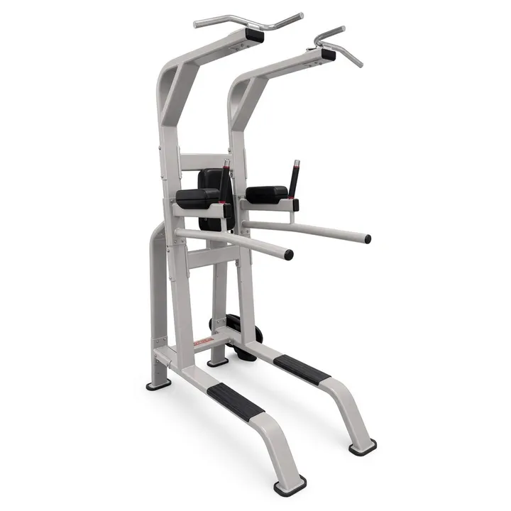 Power tower (pull-up, dip, knee raise)